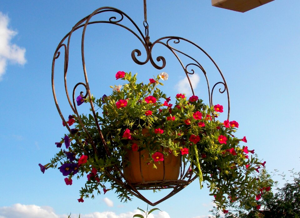 Flower heart balcony terrace