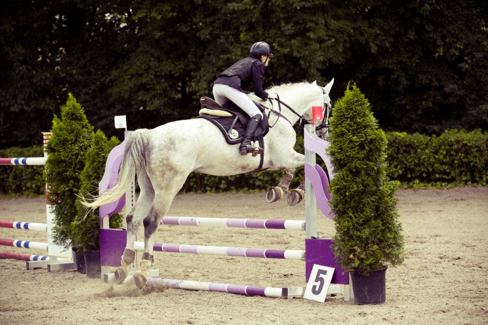 Obstacle reiter hop
