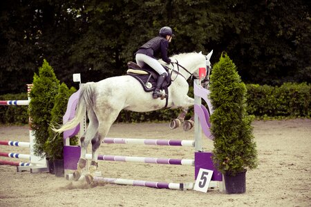 Obstacle reiter hop