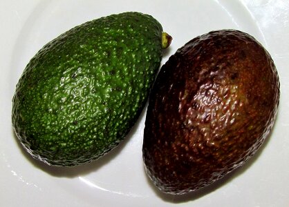 Food seed green