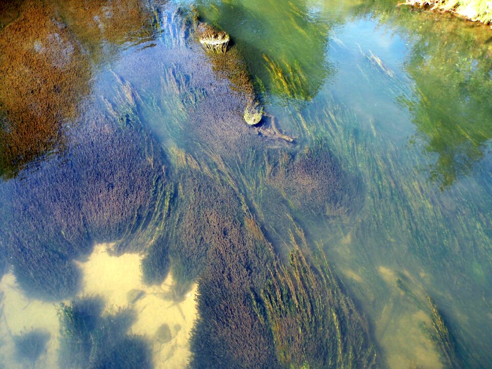 Water clear water riverbed
