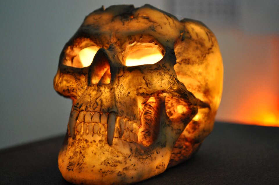 Windlight skull skeleton