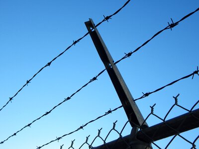 Fence barbed wire