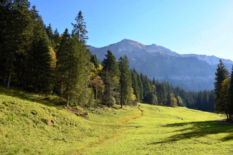 Alpine meadow hiking meadow