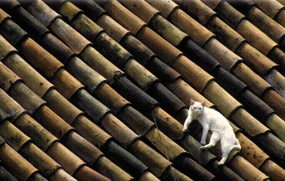 Tile lazing around relax