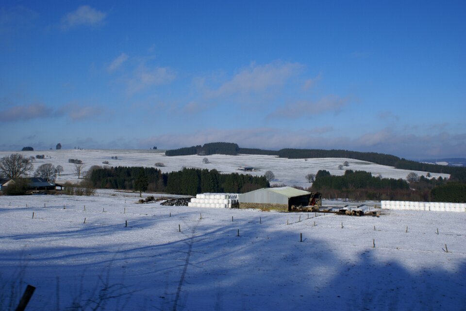 Winter snow blue sky