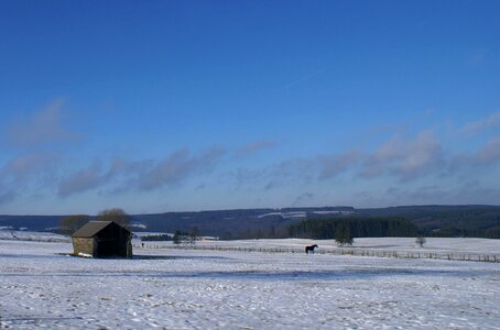 Snow winter blue sky