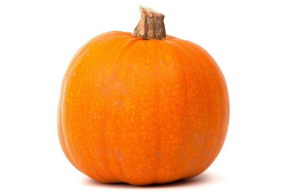 Fresh gourd halloween