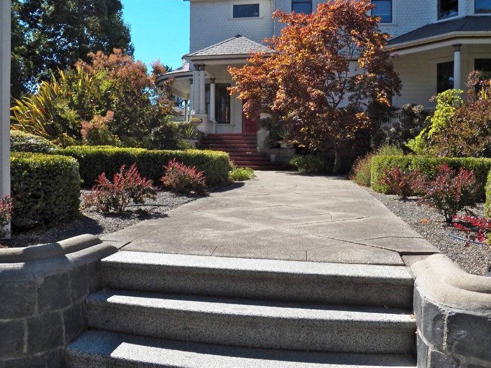Path outdoor landscape