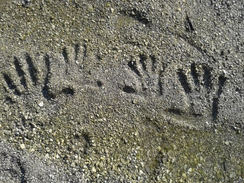 Hands relaxation gray