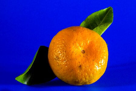 Mandarin fruit citrus fruit