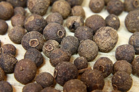 Pimenta officinalis new spice four spice