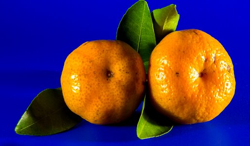 Mandarin fruit citrus fruit