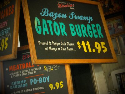 Cajun food alligator meat alligator photo