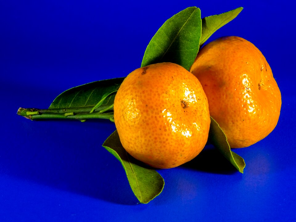 Mandarin fruit citrus fruit