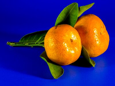 Mandarin fruit citrus fruit