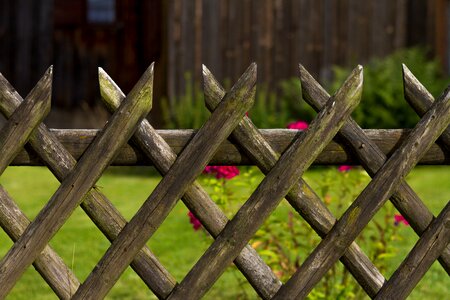 Garden wood brown photo