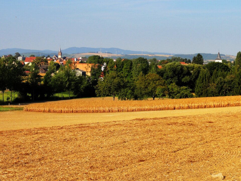 Scenic summer sky