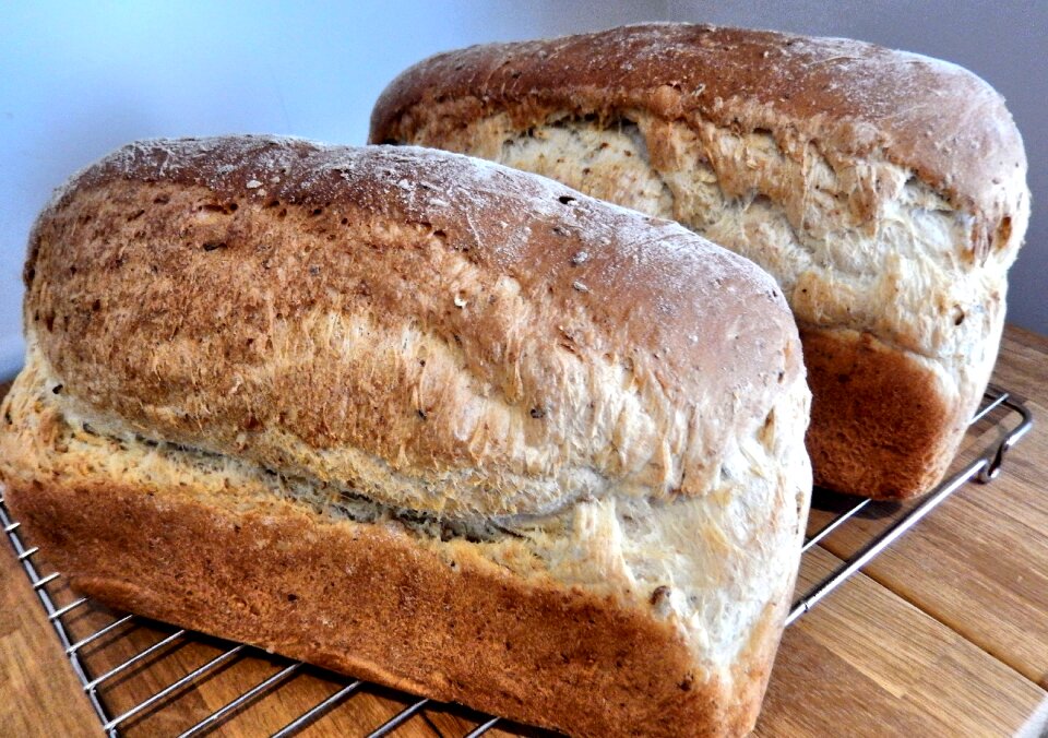 Flax corn multi grain