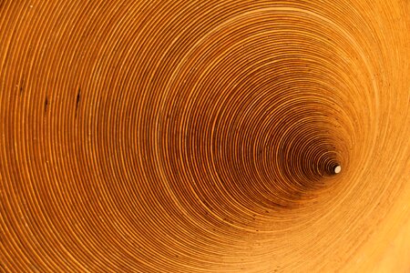 Oscar niemeyer museum of the eye brazil