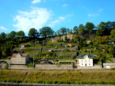 Vineyards winegrowing sky