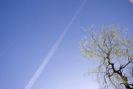 Blue mood nature