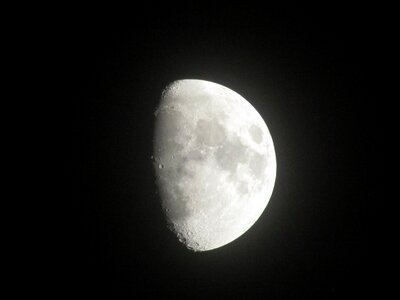 Moon night the gloom