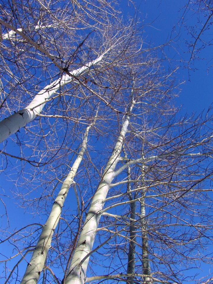 Colorful rocky mountains blue sky