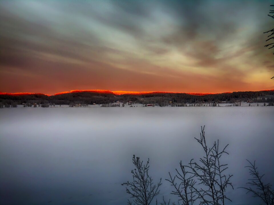 Woods landscape scenic