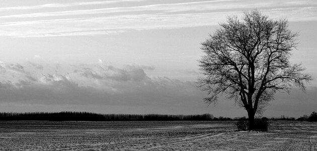 Evening snow winter