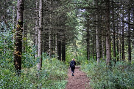 Hiker trek path