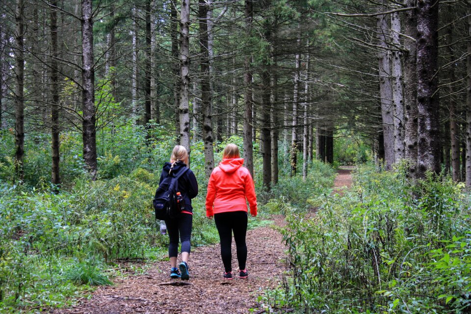 Backpacker trek path