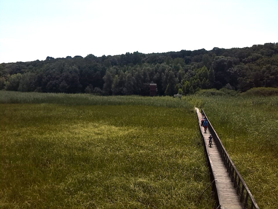 Landscape wilderness scenery