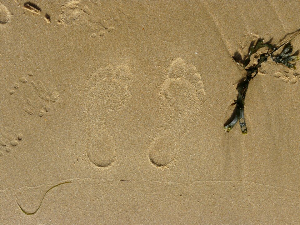 Sand foot sandy beach