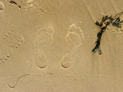 Sand foot sandy beach photo