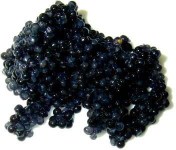 Luxury black gold cook