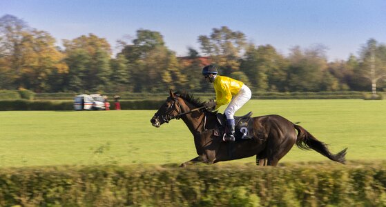 Animal race jockey photo