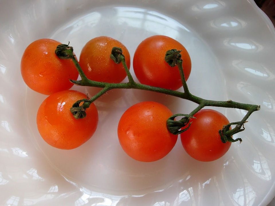 Fresh healthy vegetarian