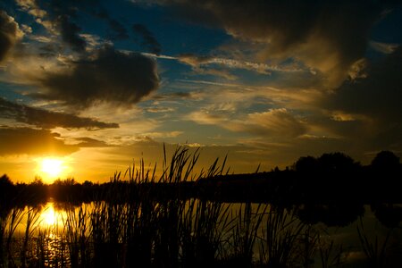 Nature water silence