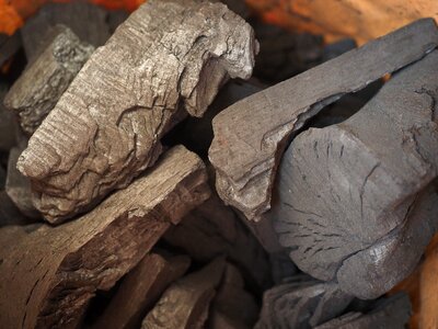 Charcoal fuel book charcoal