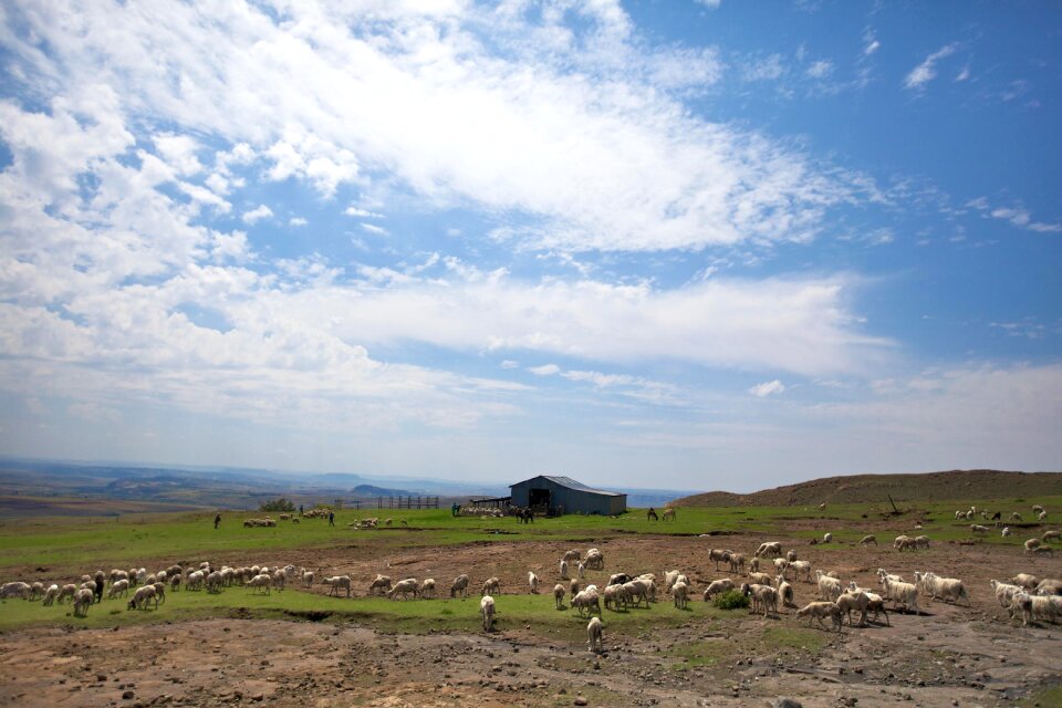Sky clouds scenic