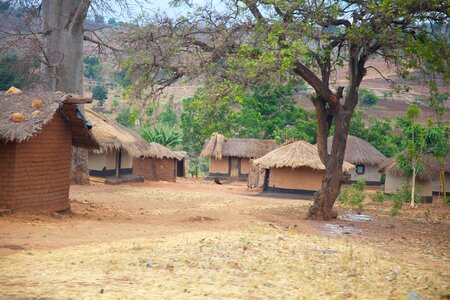 Huts homes thatched photo