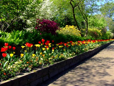 Düsseldorf spring bright colours