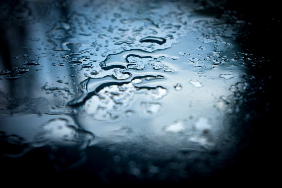 Nature macro window
