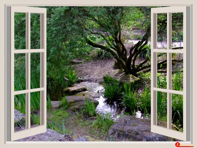 Outlook bach small stream