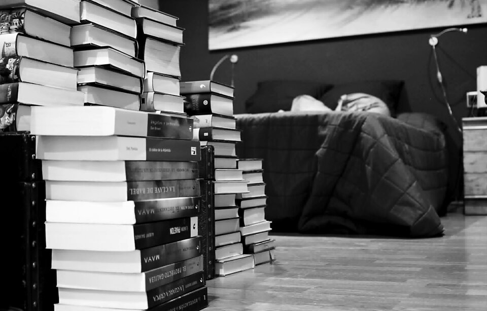 Literature bed read
