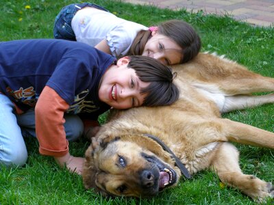 Loyalty friendship dog