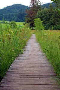 Trail planks web