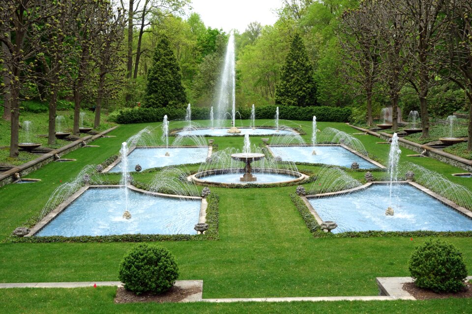 Pennsylvania trees lawn