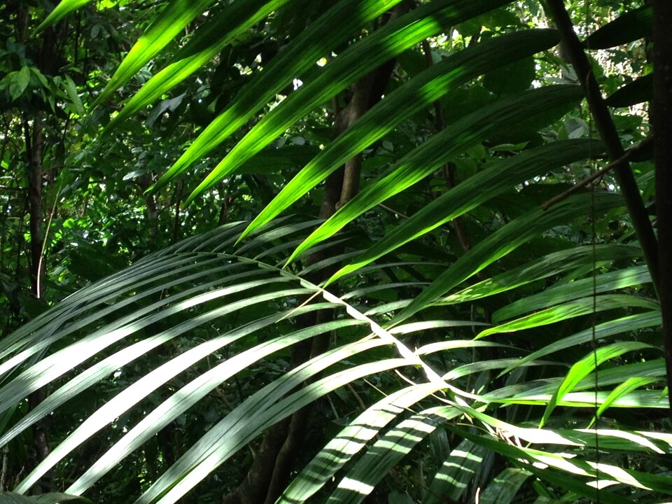 Agriculture outdoors environment